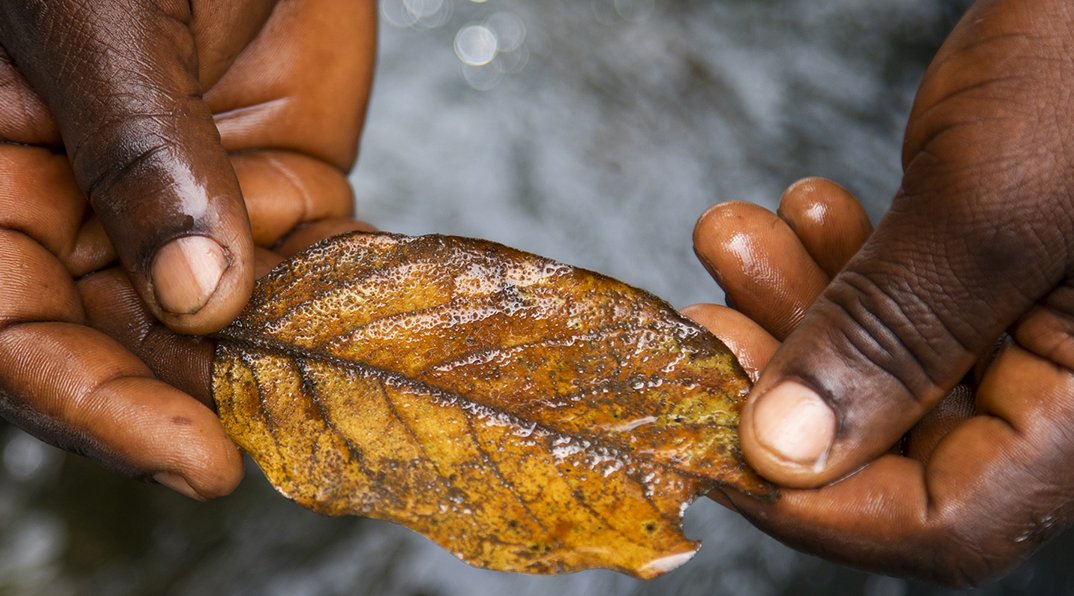 River_dosing_Cameroon_April_2019-_3_banner