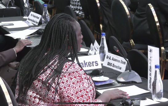Thoko Elphick-Pooley speaks at 73rd WHO AFRO RC