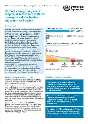 Cover of WHO communiqué on climate change, neglected tropical diseases and malaria