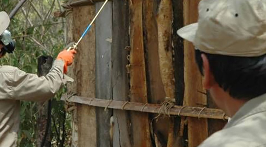 © Programe Nacional de Chagas de Bolivia